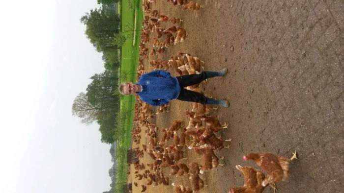 Erwouts kippen werden vergast tijdens de vogelgriep