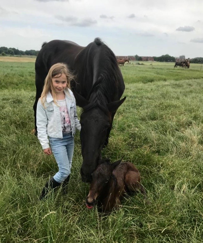 Paardenmeisje Anne-Lynn