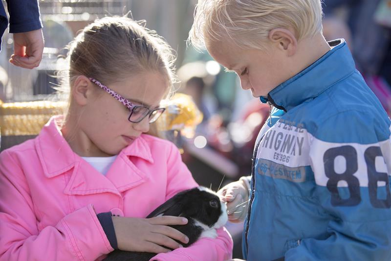 Beestenboel op het schoolplein