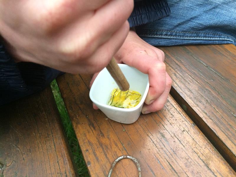 Schuitje varen, theetje drinken (fotoserie)