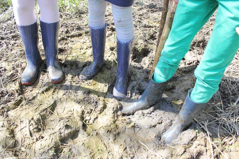 Serie natuur: In het spoor van de bever (fotoserie)