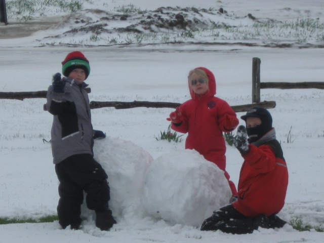 Lekker kijken naar Kitslezers in de sneeuw!