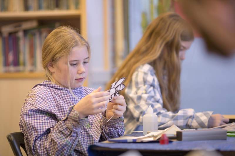 Kunst op Doornveldschool Staphorst (video en foto's)