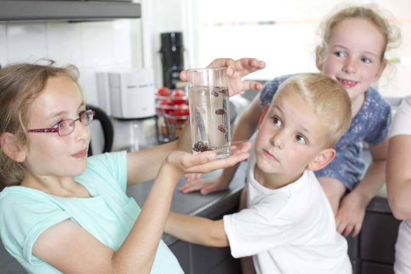 Lieneke op zoek naar zonnewijzers