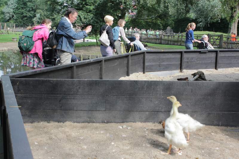 Groep 8 gaat met ouderen in rolstoel op schoolreis (video)