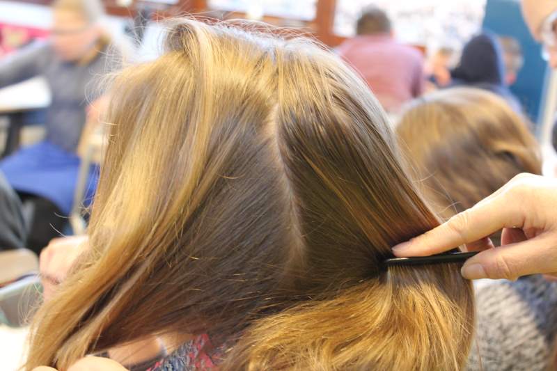 Luizenjacht in Ermelo op Augustinusschool (fotoserie)