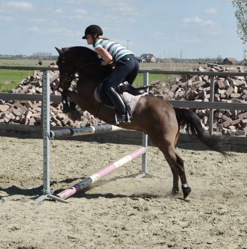 Kitslezers vinden paarden leuk!