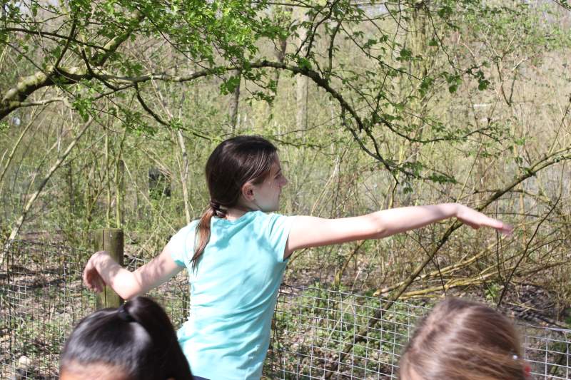 Serie natuur: In het spoor van de bever (fotoserie)