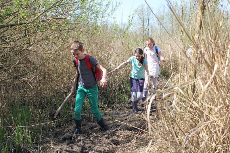 Serie natuur: In het spoor van de bever (fotoserie)