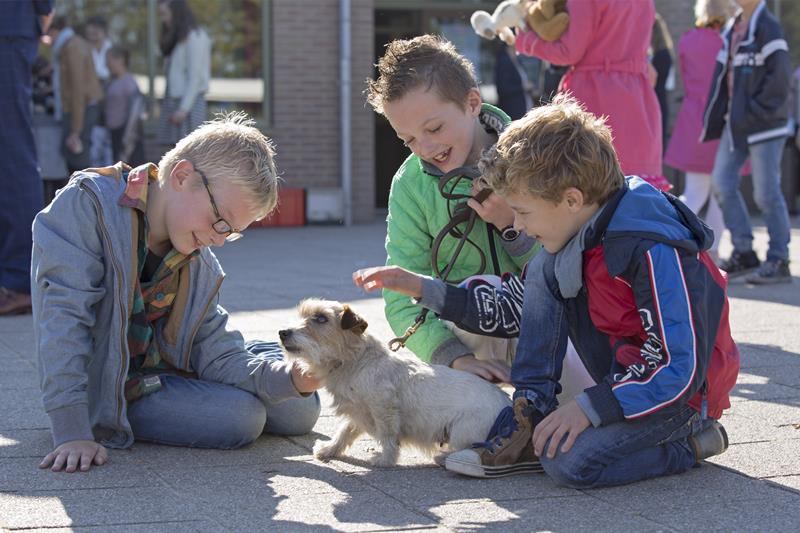 Beestenboel op het schoolplein