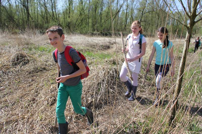 Serie natuur: In het spoor van de bever (fotoserie)
