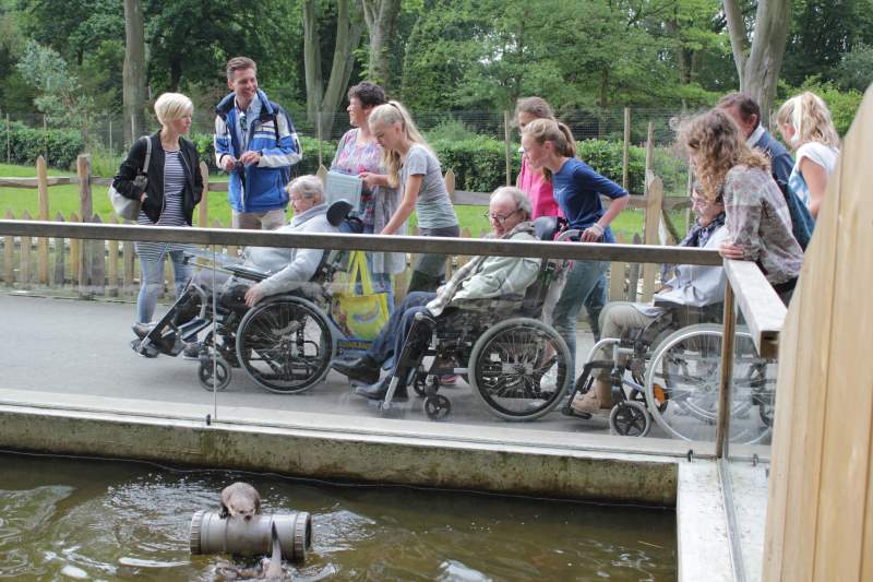 Groep 8 gaat met ouderen in rolstoel op schoolreis (video)