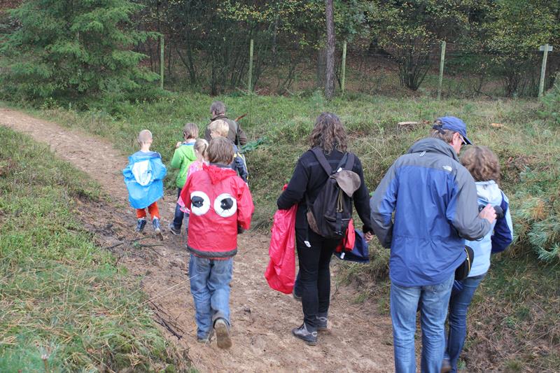 Turen naar edelherten op Hoge Veluwe (fotoserie)