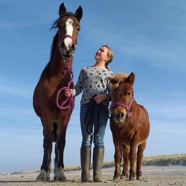 Marit en Lieke HEBBEN EEN EIGEN KINDERBOERDERIJ