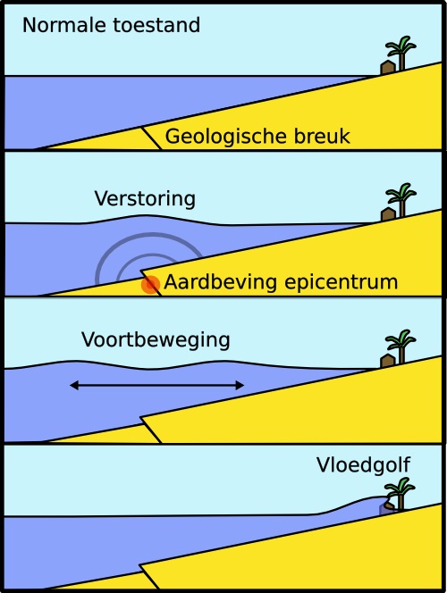 Wat is een... tsunami?