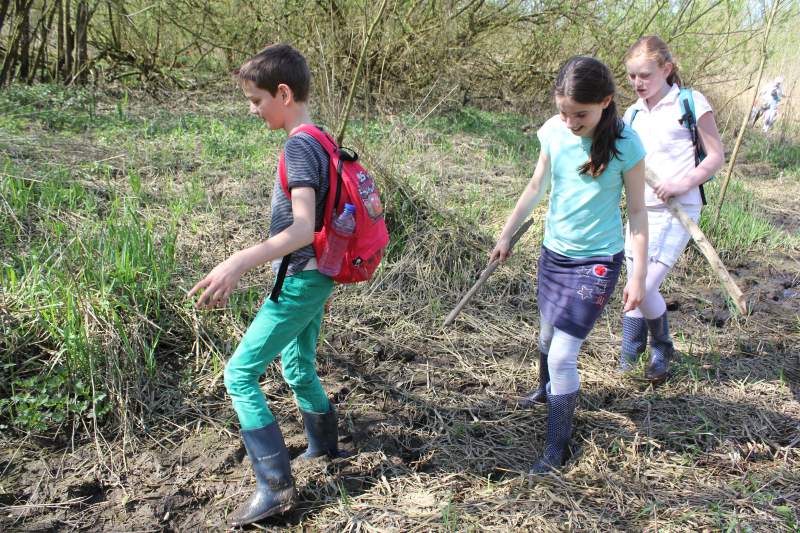 Serie natuur: In het spoor van de bever (fotoserie)