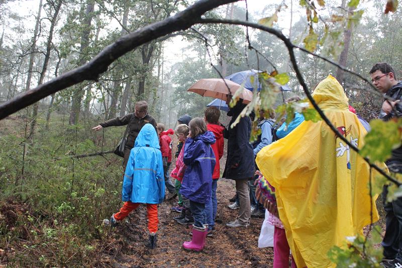 Turen naar edelherten op Hoge Veluwe (fotoserie)