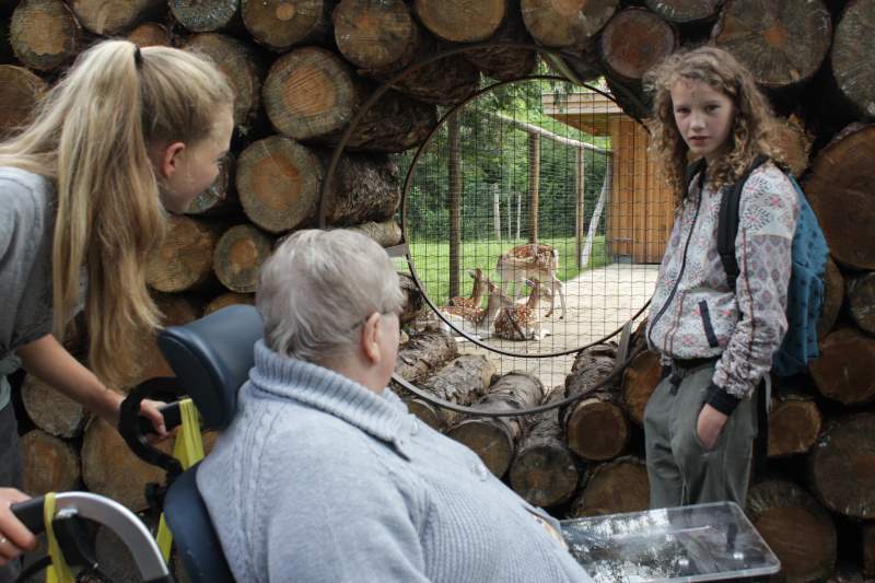 Groep 8 gaat met ouderen in rolstoel op schoolreis (video)