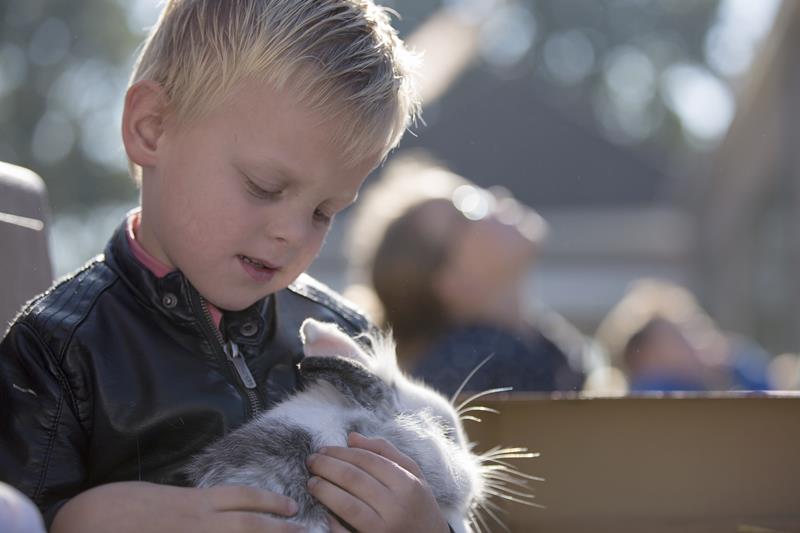 Beestenboel op het schoolplein