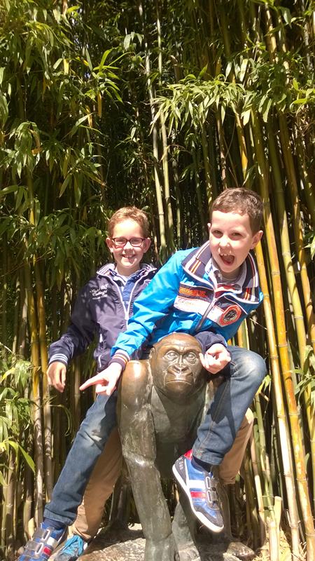 Berichtjes voor de liefste papa's