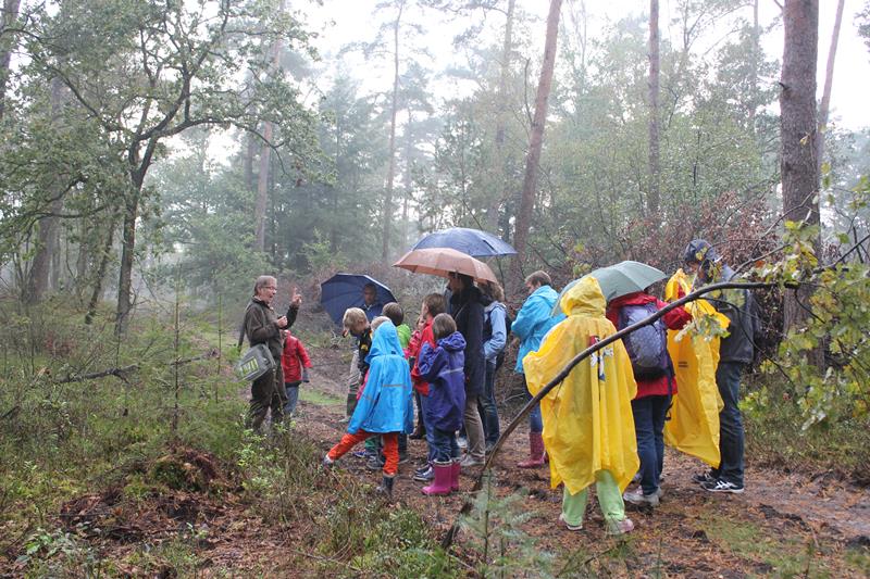 Turen naar edelherten op Hoge Veluwe (fotoserie)