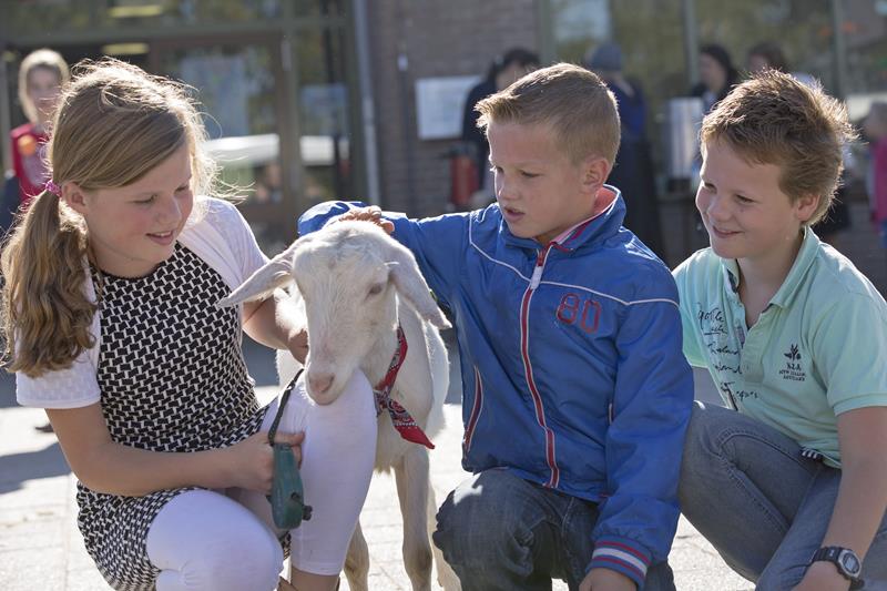 Beestenboel op het schoolplein