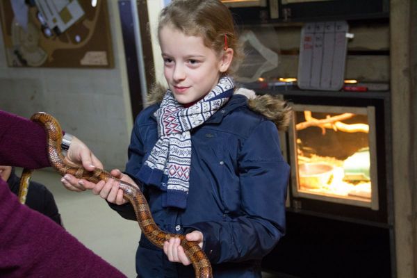 Willianne hield haar feestje in Diergaarde Blijdorp