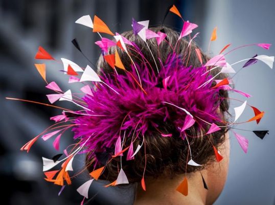 Leuke weetjes over Prinsjesdag