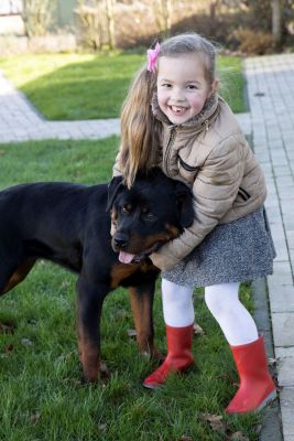 Rennen, knuffelen en kunstjes leren