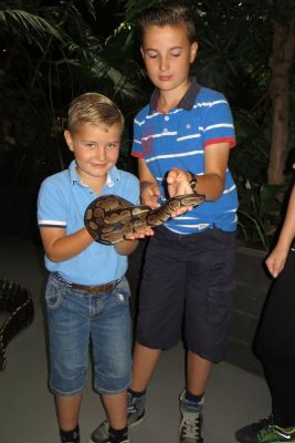 Matthijs en Elise: Cobra was zwaar en leerachtig