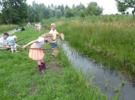 foto_5.jpg
