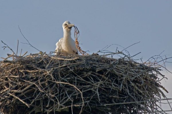 12KITSNatuurFoto03.jpg