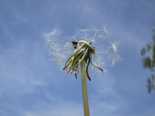 Alle ingestuurde foto's op een rijtje