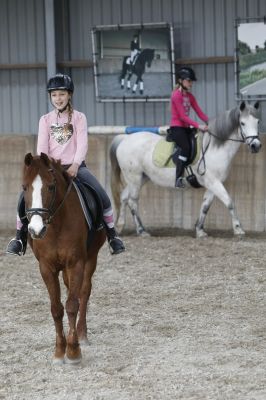 Paarden zijn lief en voelen je aan