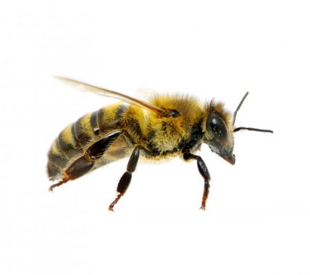 iStock_15735012_LARGE.jpg