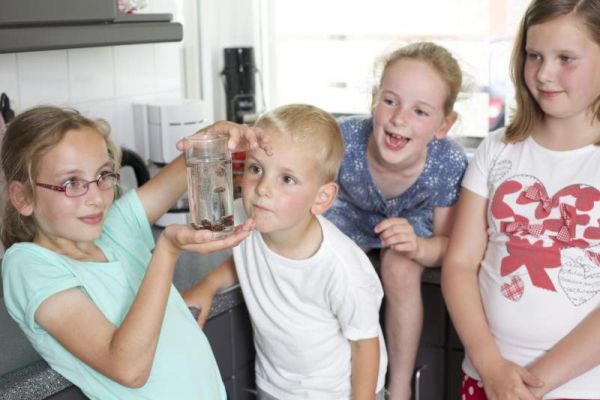 Lieneke op zoek naar zonnewijzers