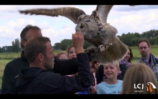 roofvogelshow.jpg