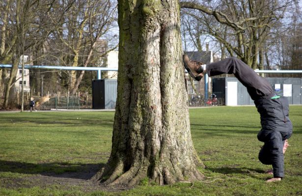 handstandANP.jpg