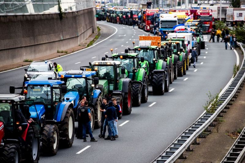 2019 in beeld