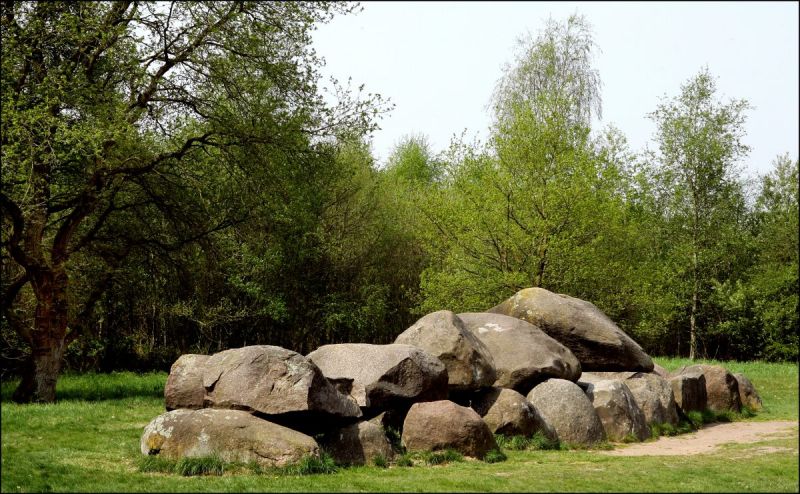 Zeven vragen over de prehistorie