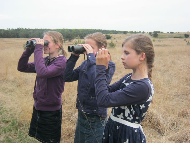 Speuren naar herten