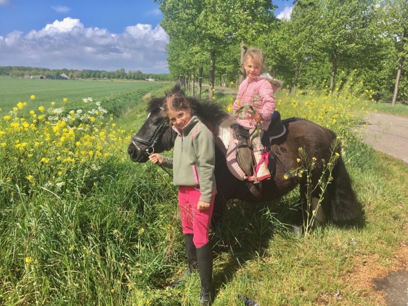 Paardenmeisje Mirthe (3) kan al paardrijden