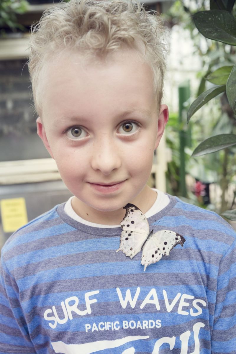 Twan (9) en Anne-Lynn in de grootste vlindertuin ter wereld