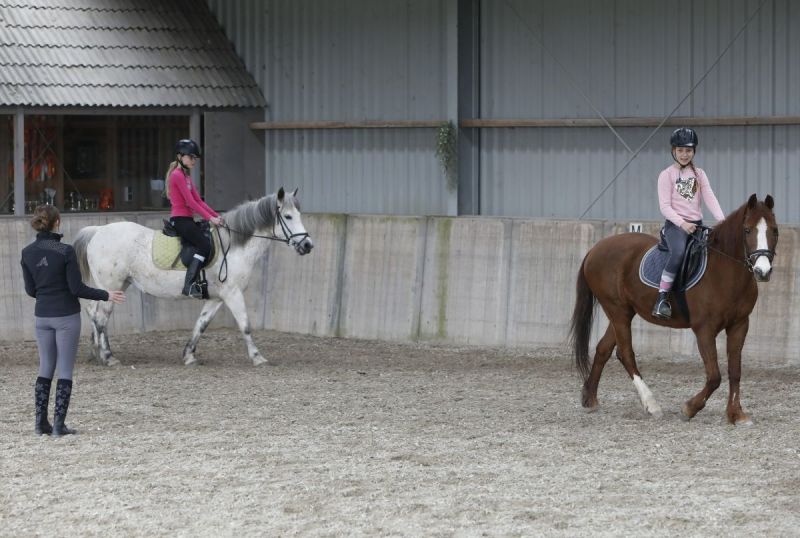 Paarden zijn lief en voelen je aan