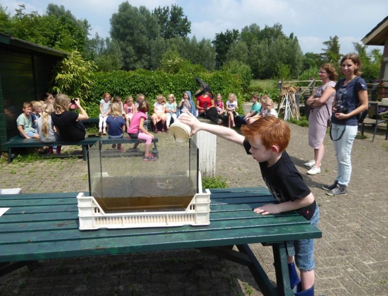 Scheppen in een sloot vol beestjes