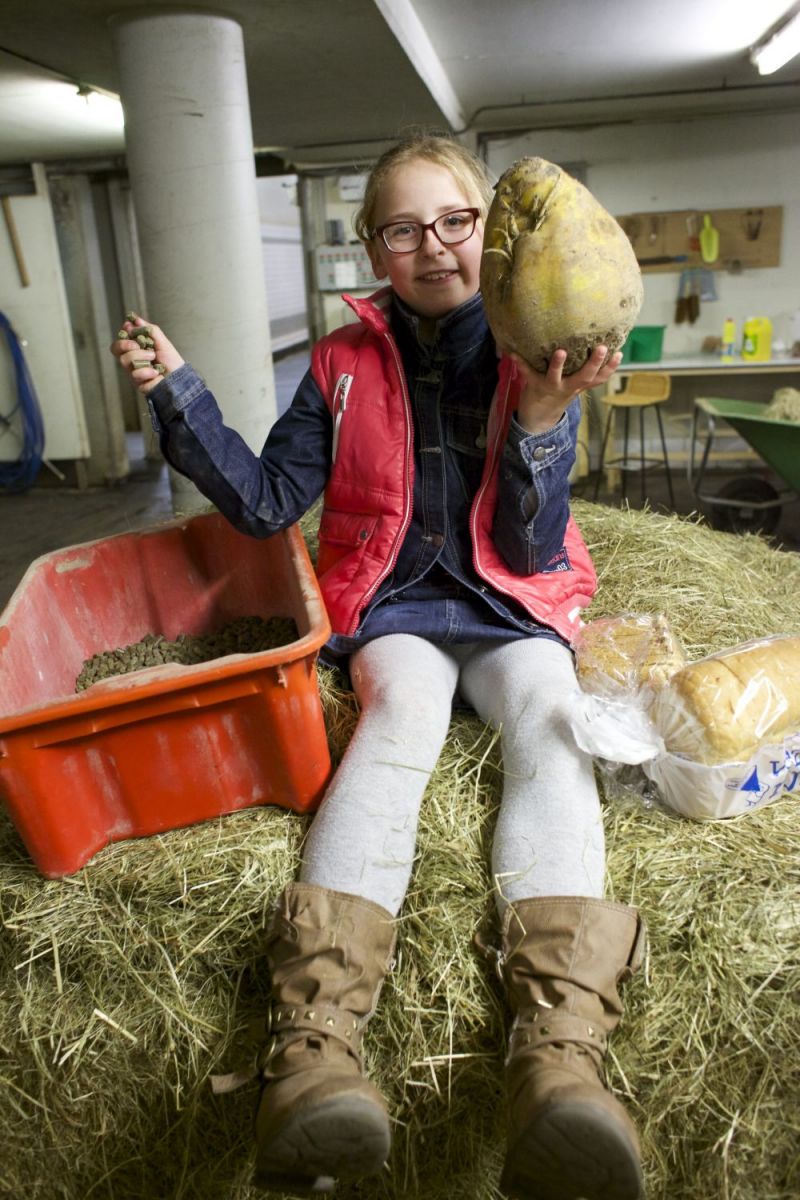 Hélène doet olifantenwerk (met extra foto's!)