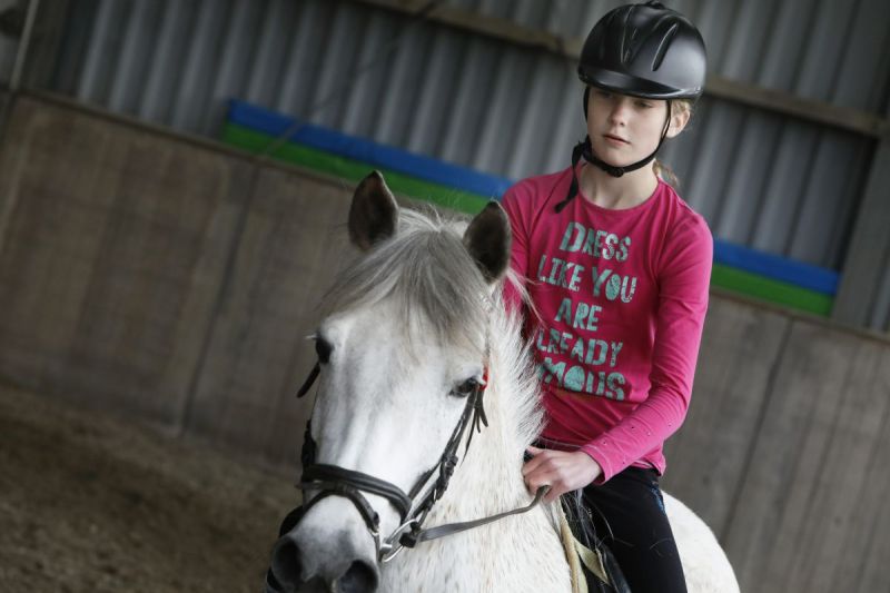 Paarden zijn lief en voelen je aan