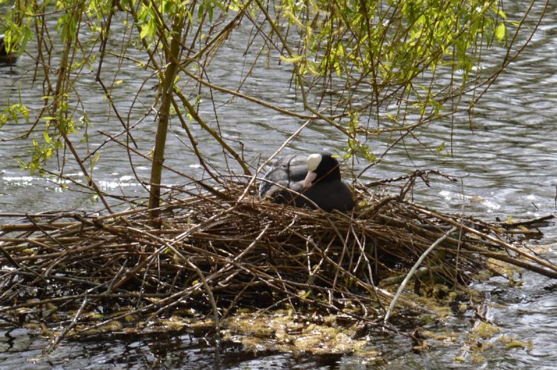 Alle ingestuurde foto's op een rijtje