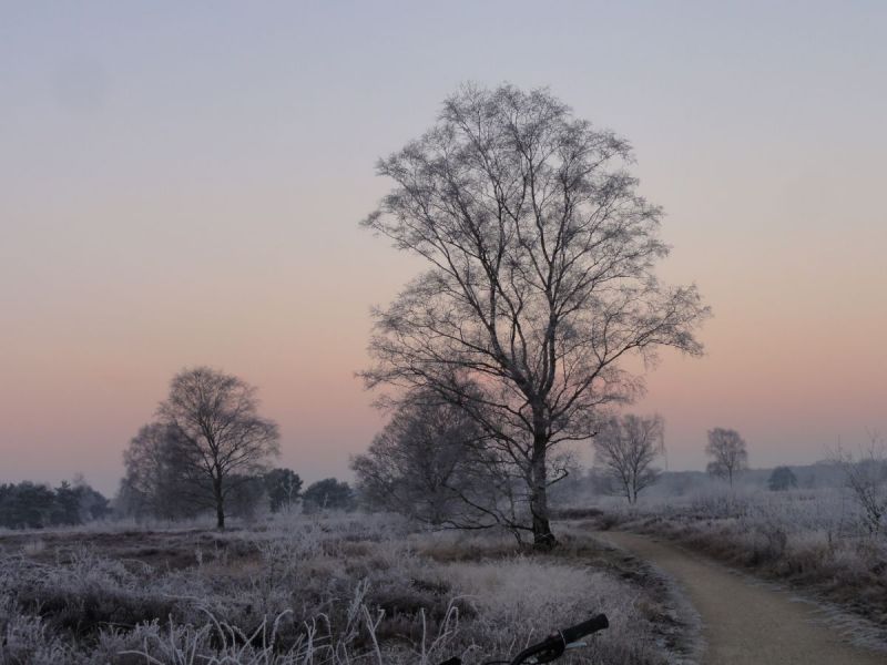 Alle ingestuurde foto's op een rijtje