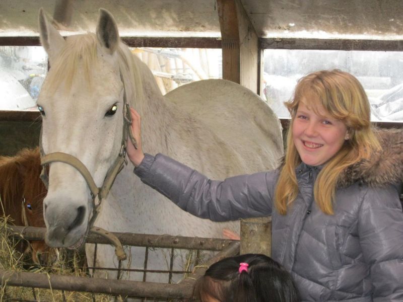 Kitslezers vinden paarden leuk!